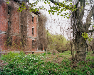 Illustration for article titled Exploring the Decaying Ruins of Brother Island, NYC's Last Unknown Place